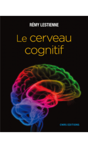 le-cerveau-cognitif