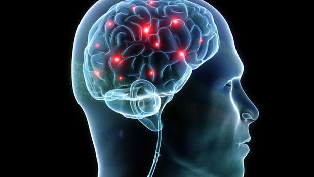 Les enjeux politiques des neurosciences