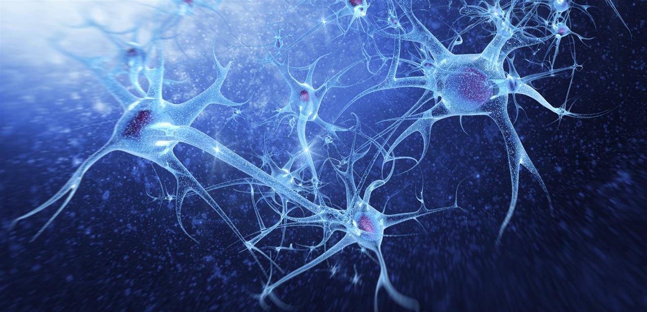 Нейрон клетка головного мозга. Клетка нейрона. Клетка нейрона. Микротрубочки нейрона. Нейронные клетки мозга.